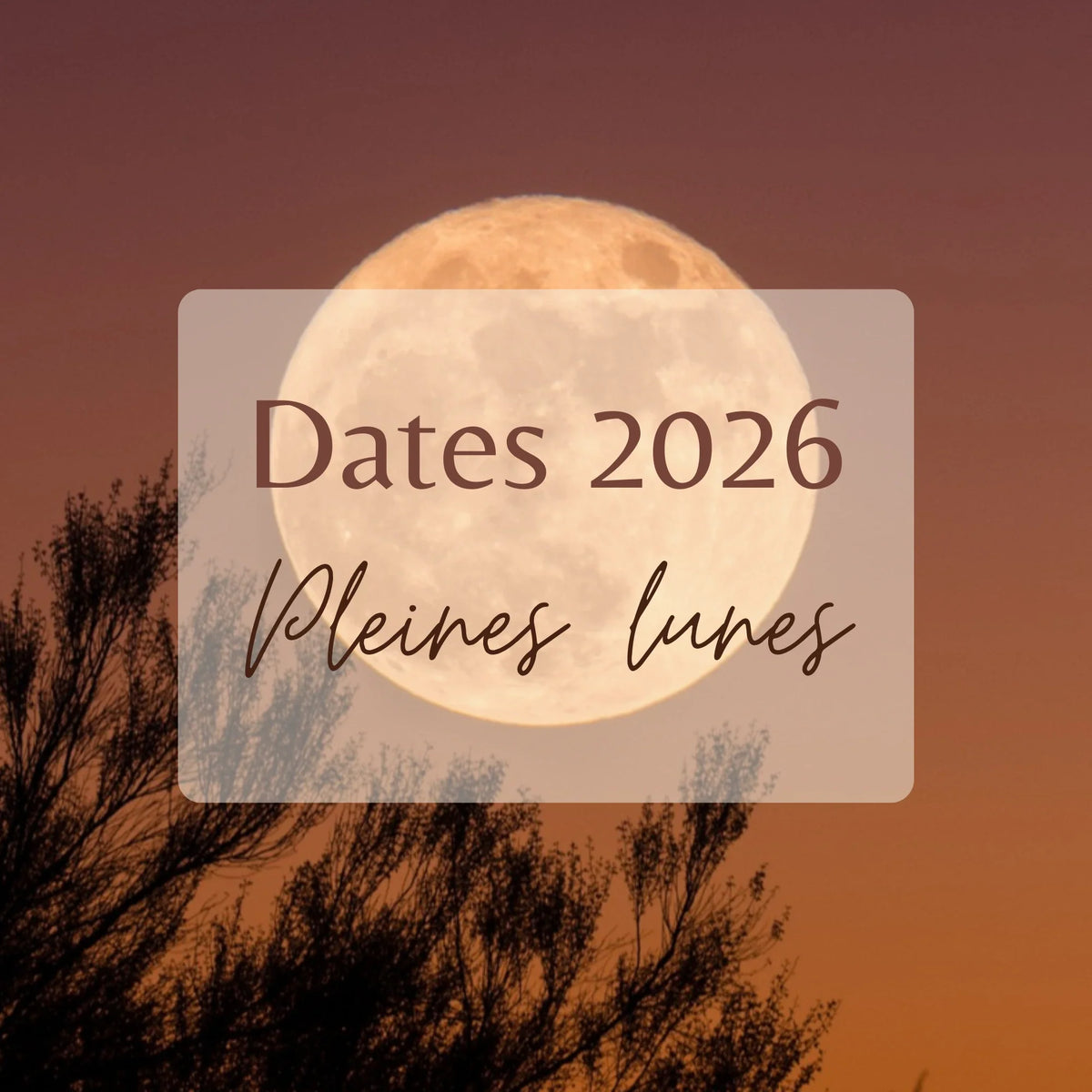 Dates de pleines lunes pour recharger vos bijoux en pierres naturelles